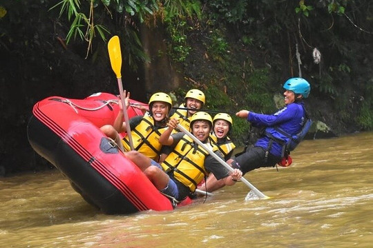 Shasya Management-茂物必去景点