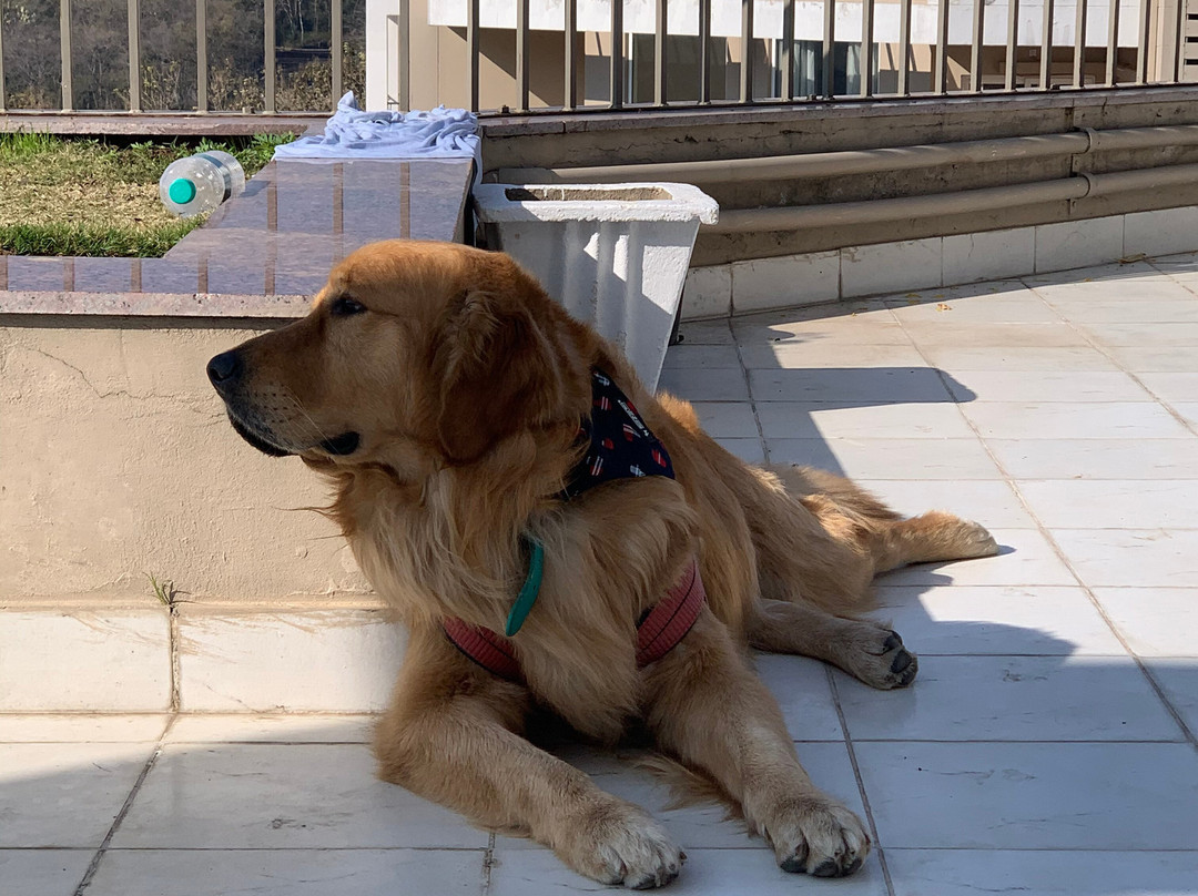 Founders Home by I-Create主图