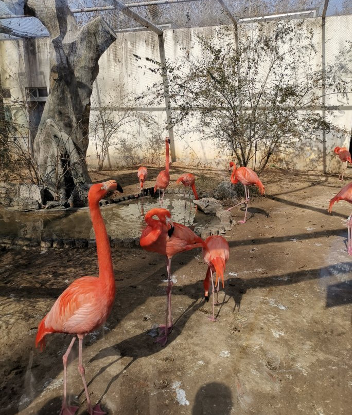 济南动物园-济南市必去景点