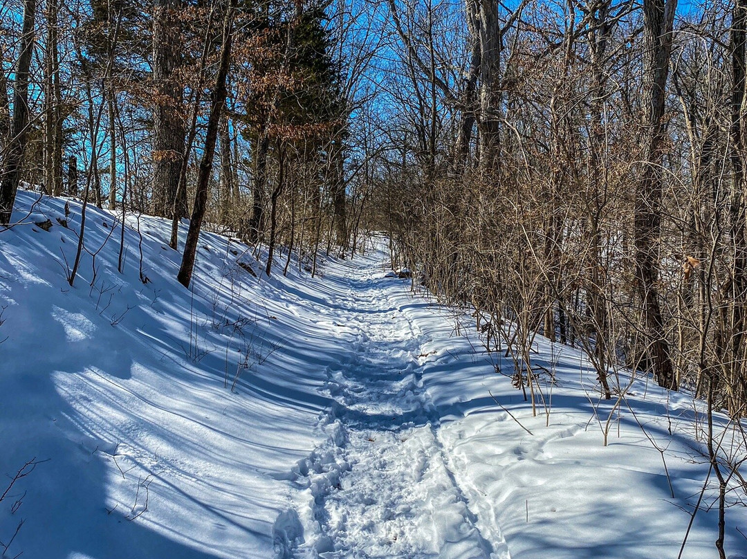 Castlewood State Park景点图片