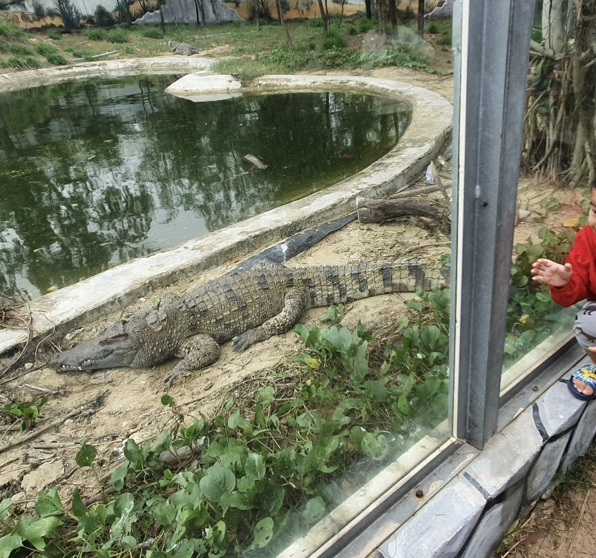 FLC Zoo Safari Park Quy Nhon景点图片