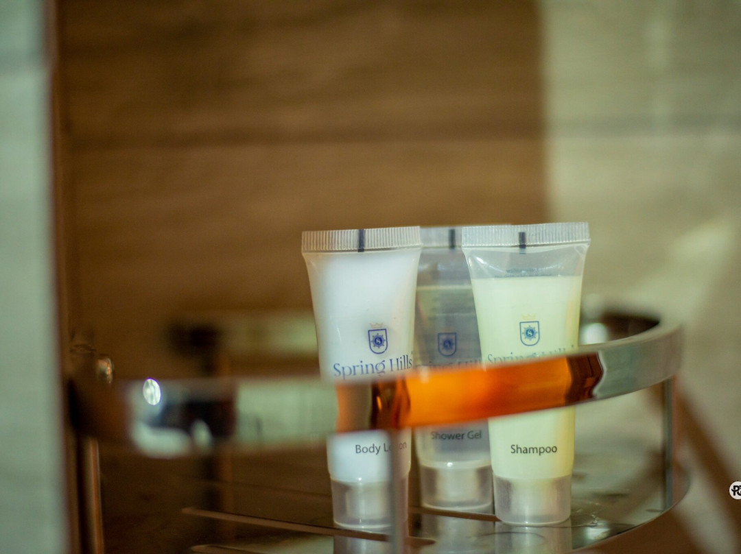 Spring Hills Hotel Dodoma