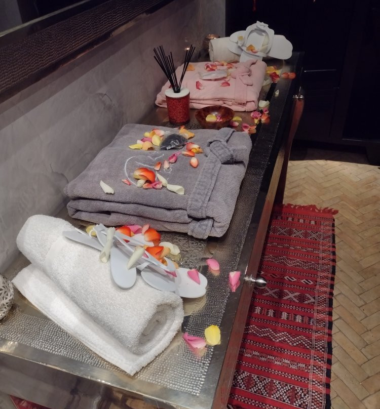 Le Riad du Bien Etre-图卢兹必去景点