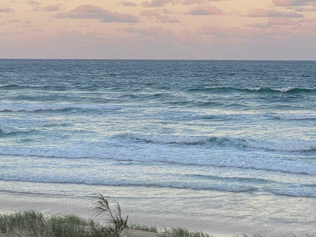 Peregian Beach Park景点图片