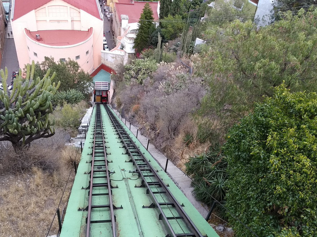 Funicular Panoramico景点图片