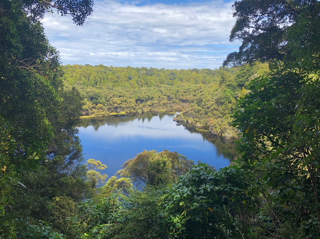 Lake Wilkie景点图片