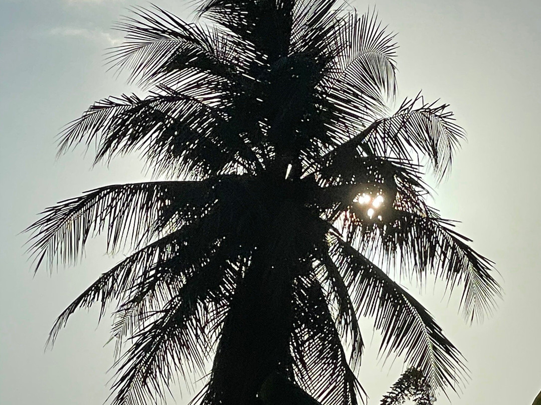 Lodger Guest House主图