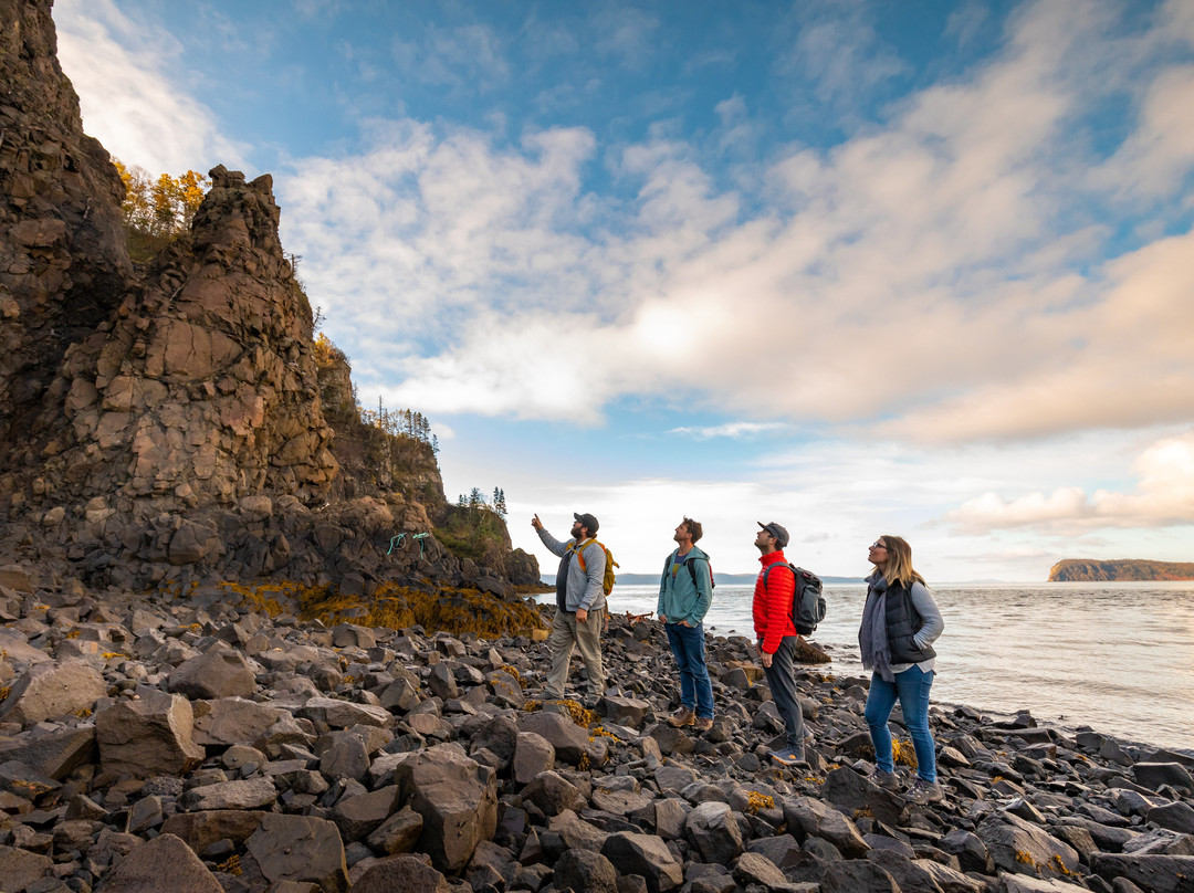 Fundy Treasure Tours景点图片