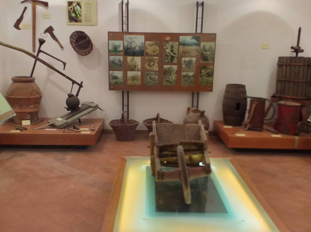 Musei del Castello di Alviano景点图片