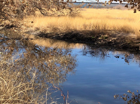 Rio Bosque Wetlands Park-Socorro必去景点
