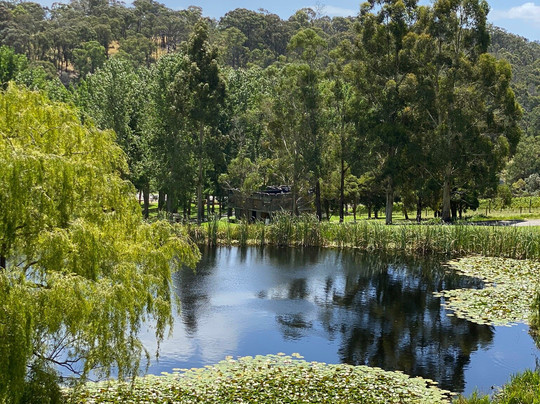 Yarra Valley Transfers - Wine Tours-希尔斯维尔必去景点