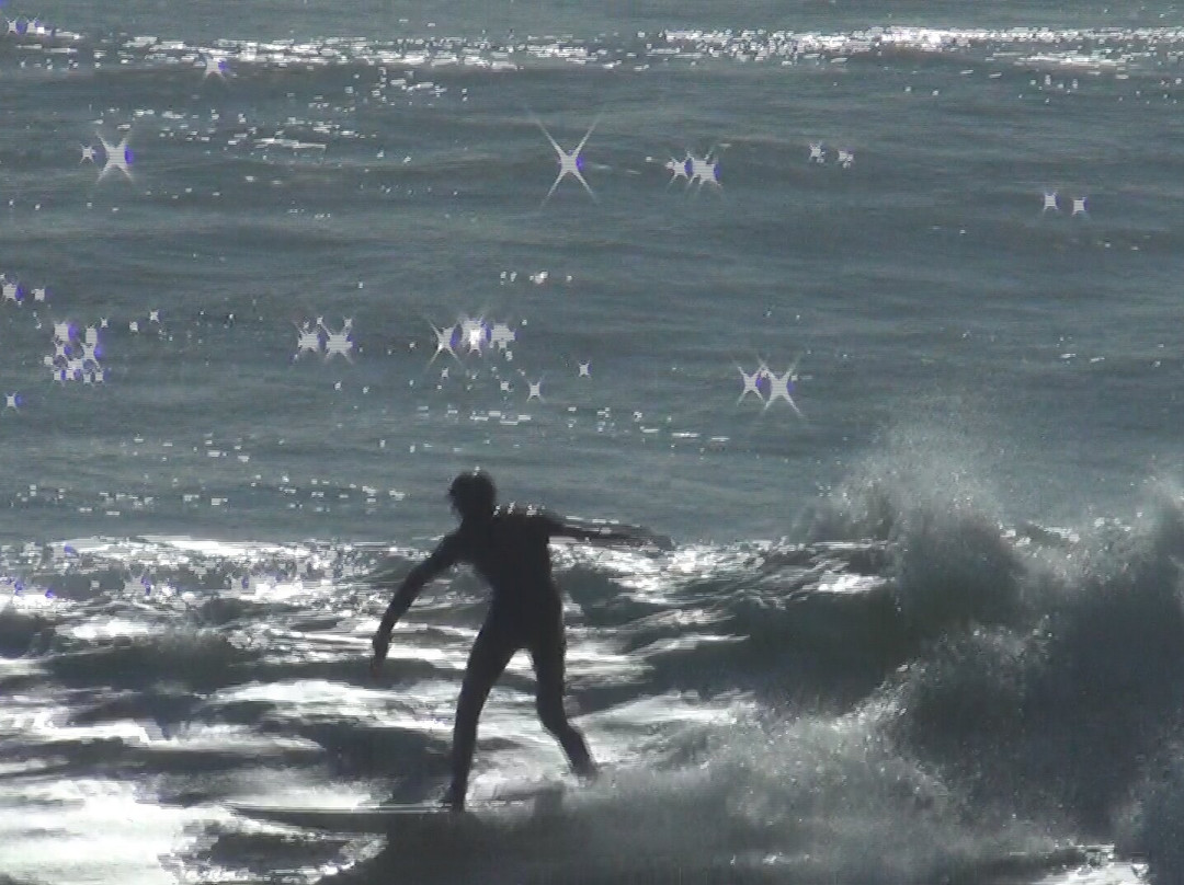 Pleasure Point Beach-圣克鲁斯必去景点