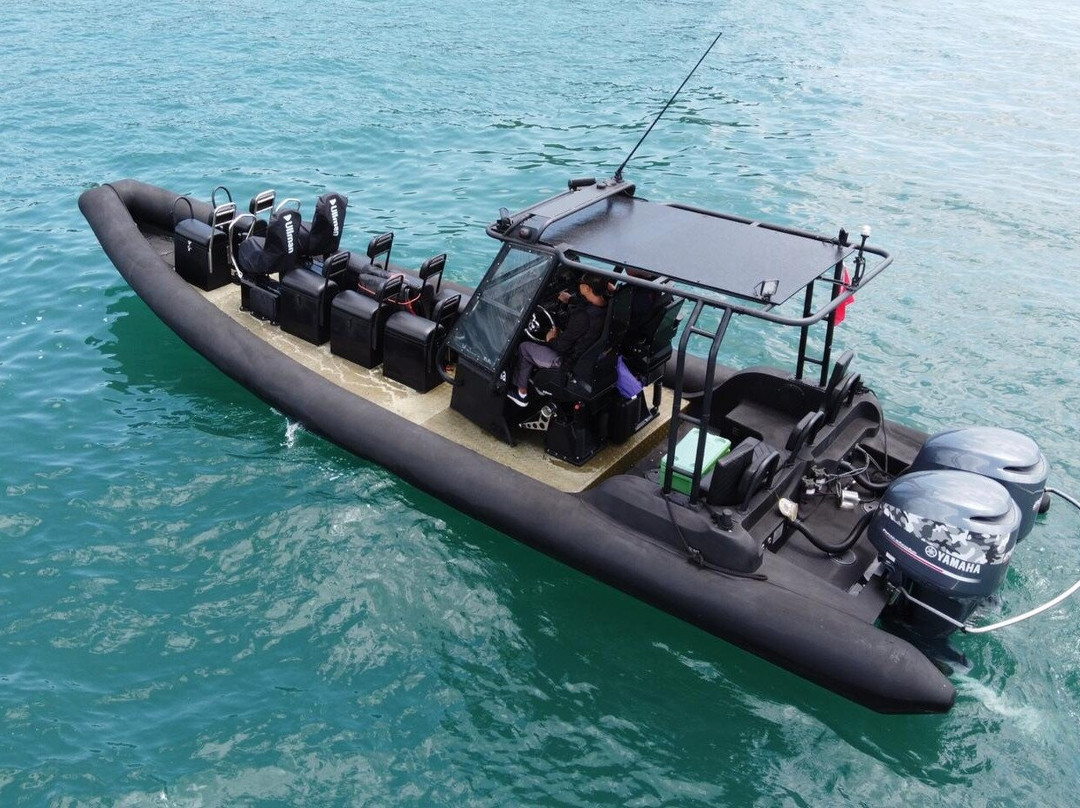 RHIB Rides Singapore景点图片