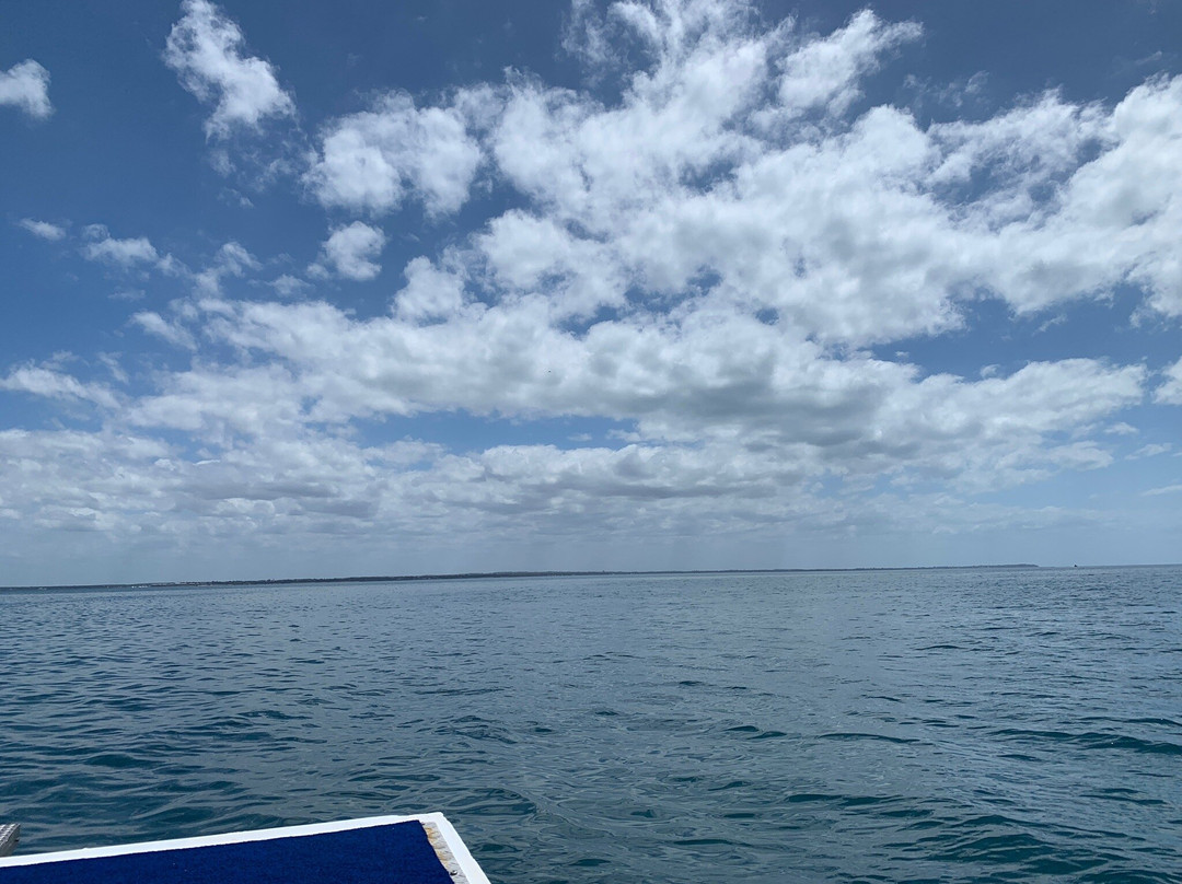 Hervey Bay Eco Marine Tours-赫维湾必去景点