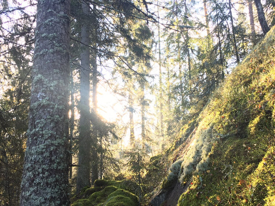 True Nature Sweden-斯德哥尔摩必去景点