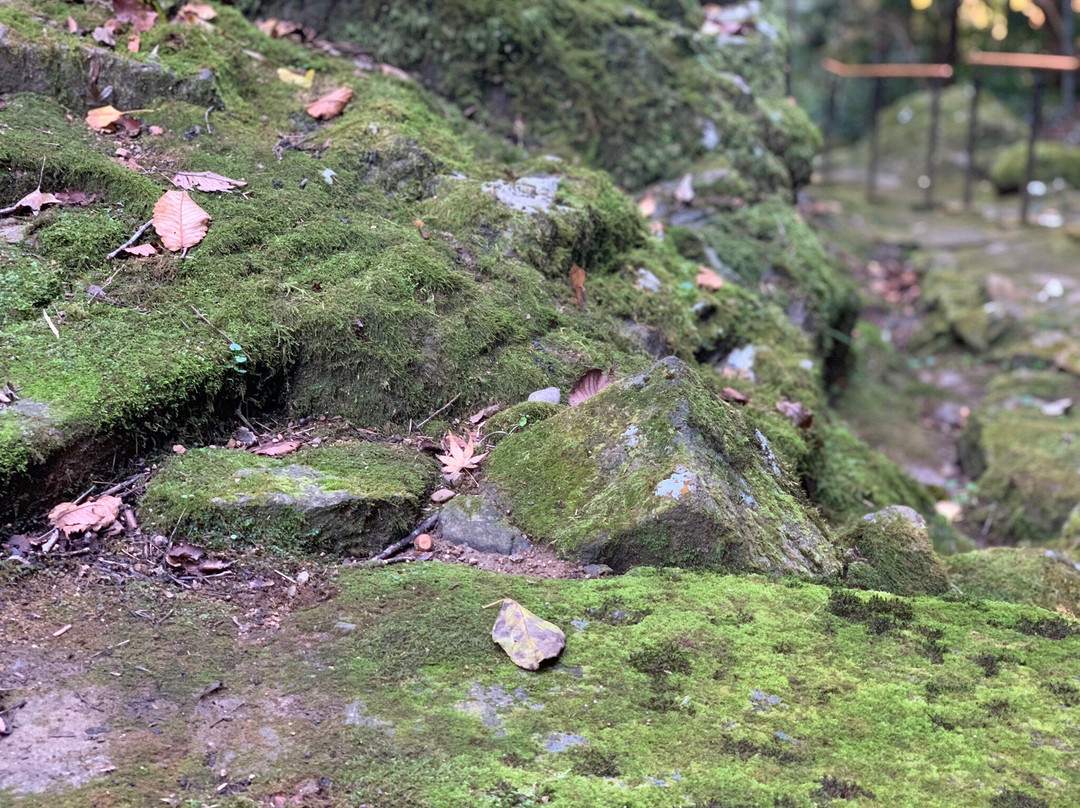 Otome Mountain Path Maria Cathedral-津和野町必去景点