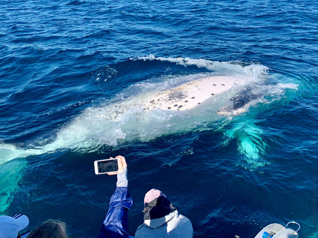 Sea The Gold Coast-绍斯波特必去景点