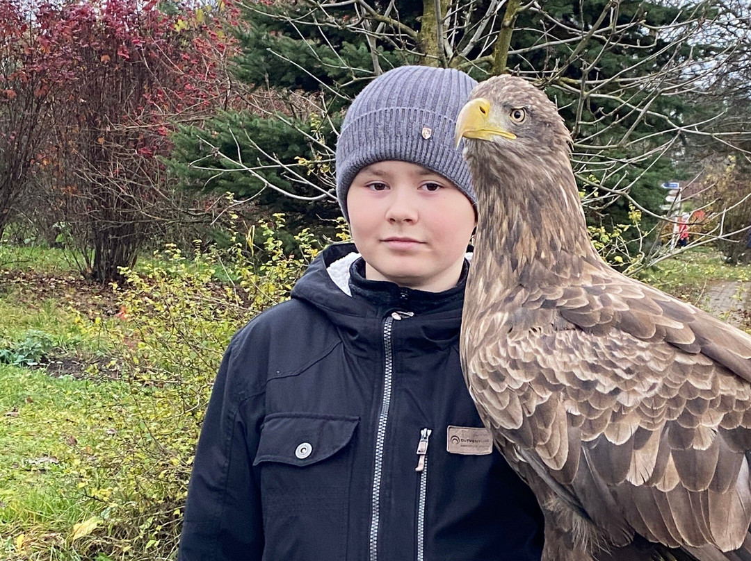 Bird Park Vorobyi-Vorobi必去景点