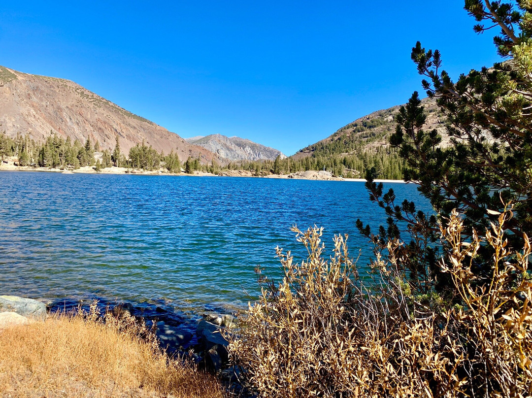 Tioga Lake-利韦宁必去景点