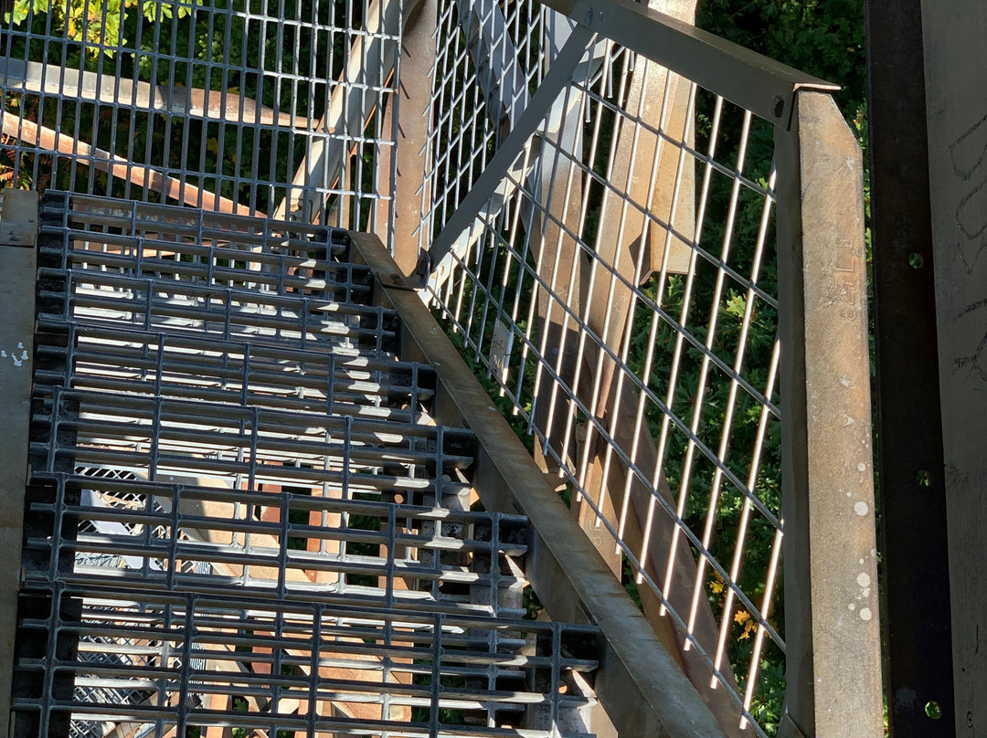 Ferncliff Forest-Rhinebeck必去景点