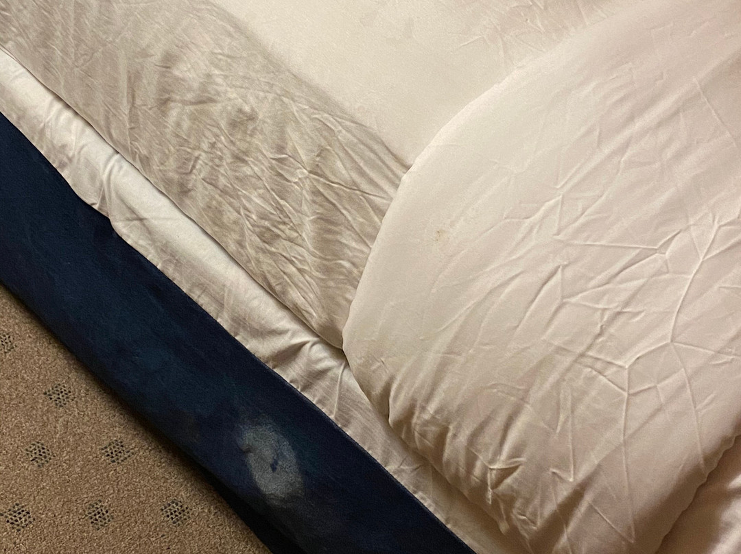 阿杜比庄园住宿加早餐酒店主图