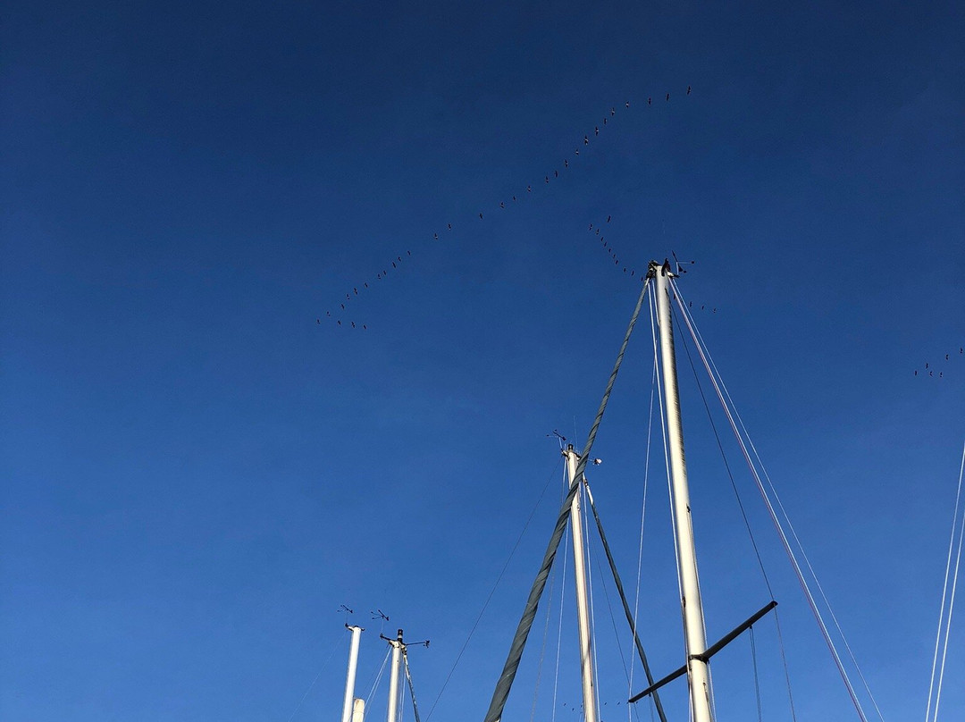 Phoenix Sea Adventures-奈恩必去景点