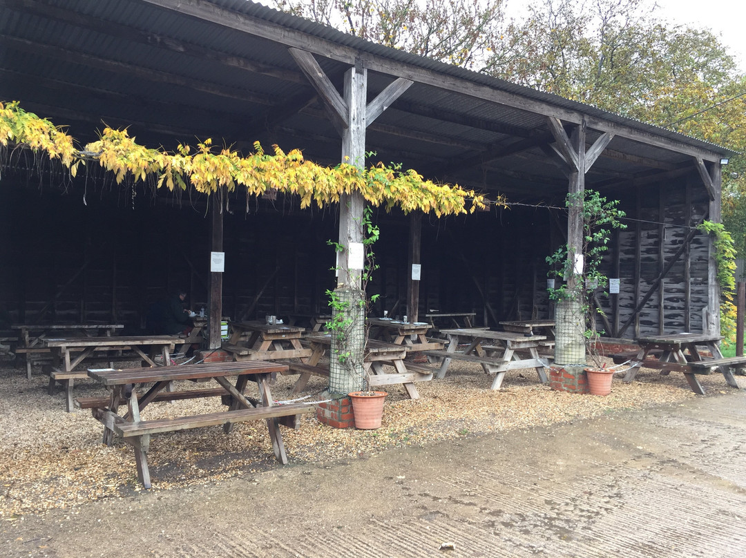 Cholderton Farm Shop & Cafe-Cholderton必去景点
