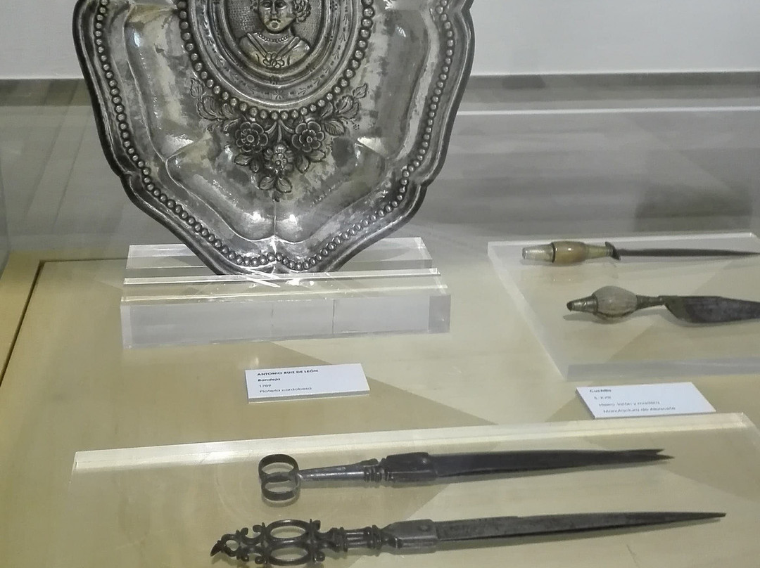Museo de Albacete景点图片