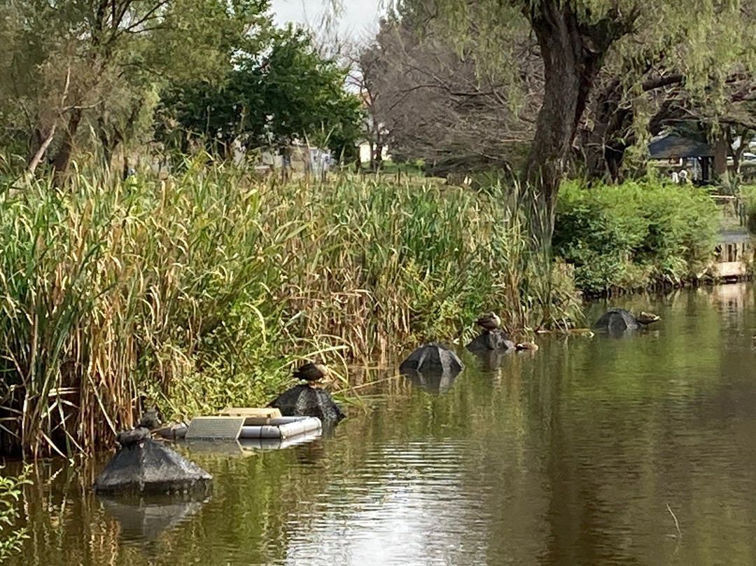 Ageo Maruyama Park-上尾市必去景点