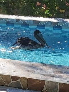 Tranquilidad Resort主图