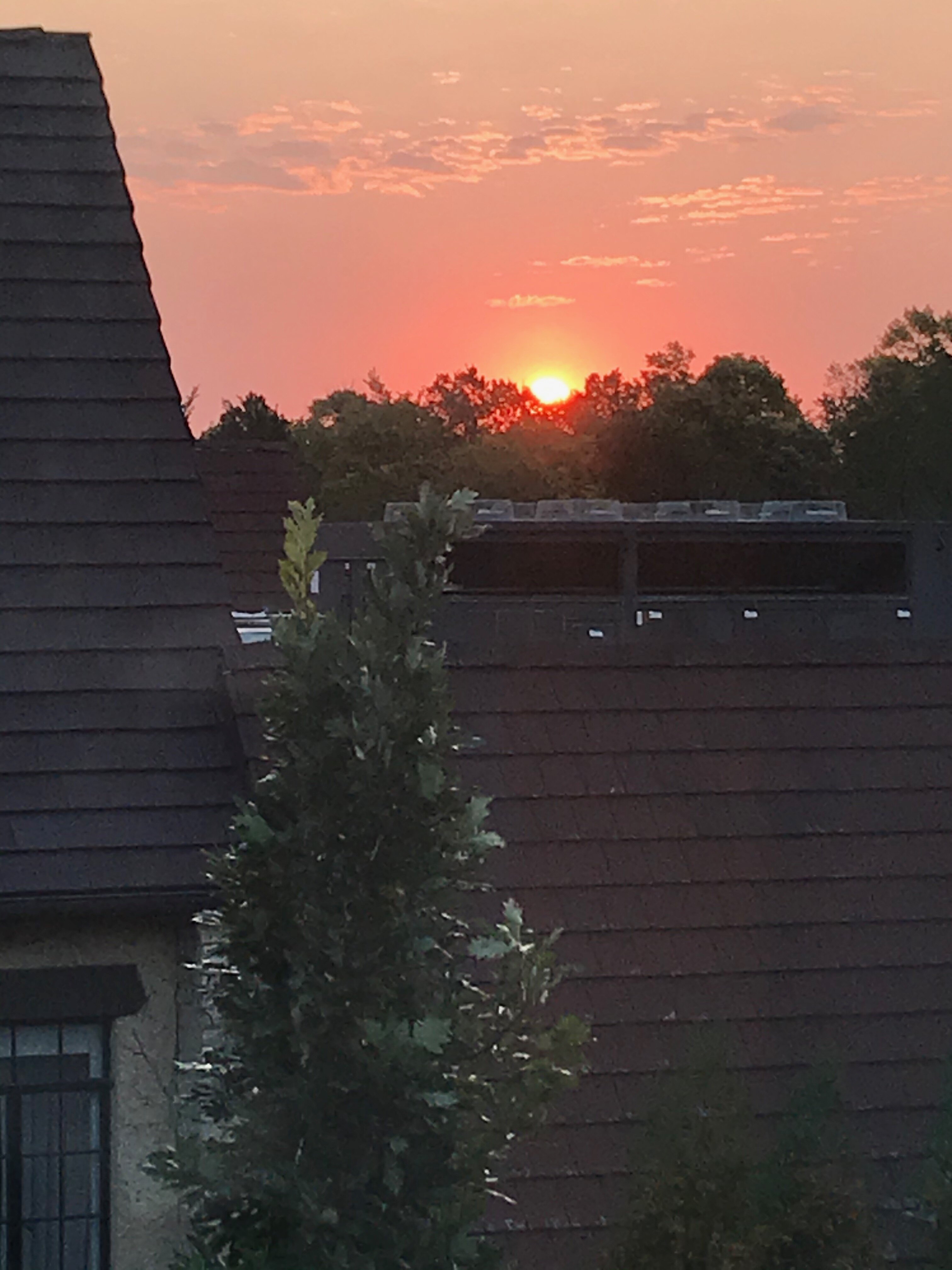 Deer Path Inn-酒店景观