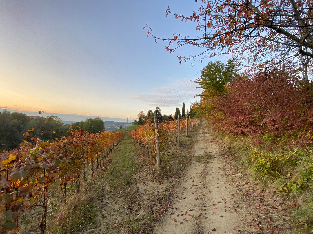 Agriturismo Minaldo