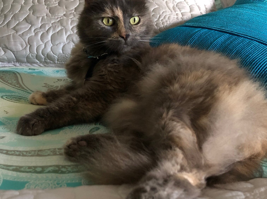 珊瑚度假村饭店主图