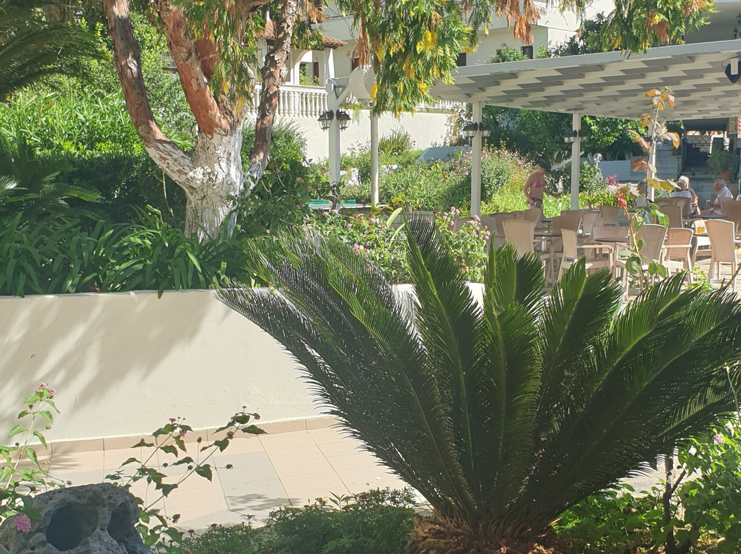 Dassia Holiday Club主图