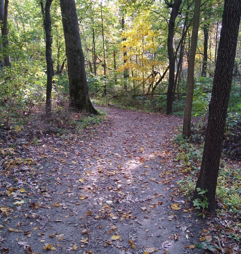 Oakdale Nature Preserve-弗里波特必去景点