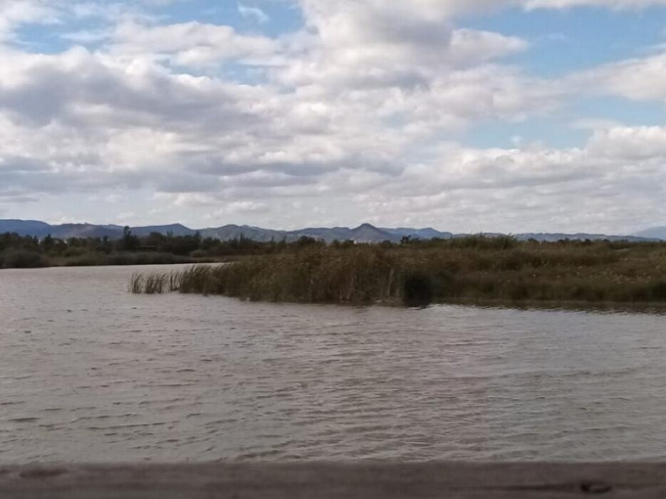 Delta del Llobregat-埃尔普拉特德略夫雷加特必去景点