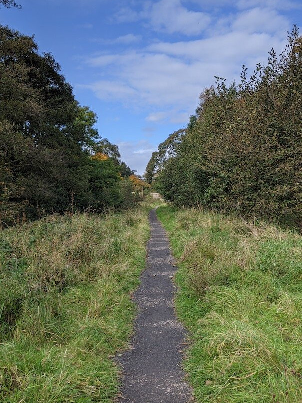 Mauldslie Woods