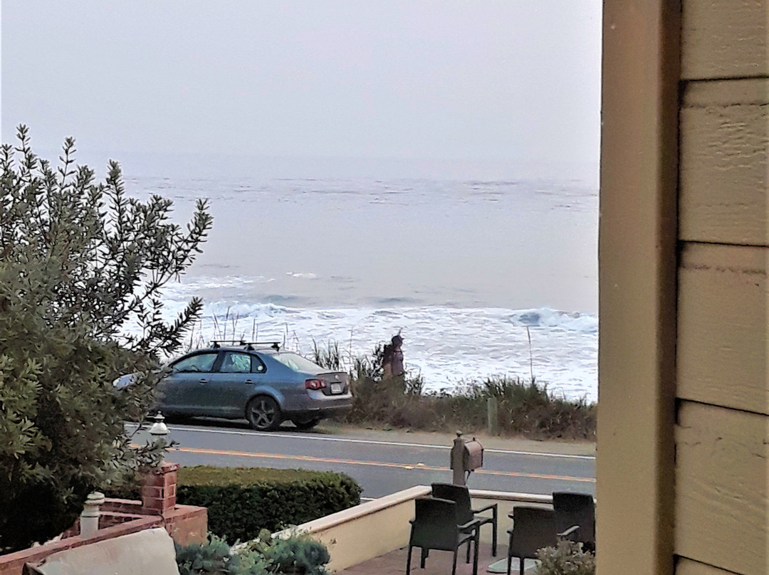 蓝海豚酒店主图