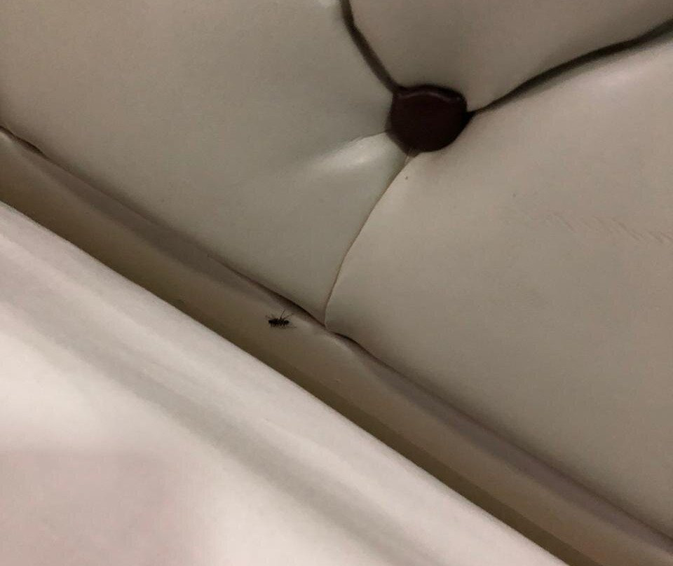 Tiara Bunga Hotel & Villa主图