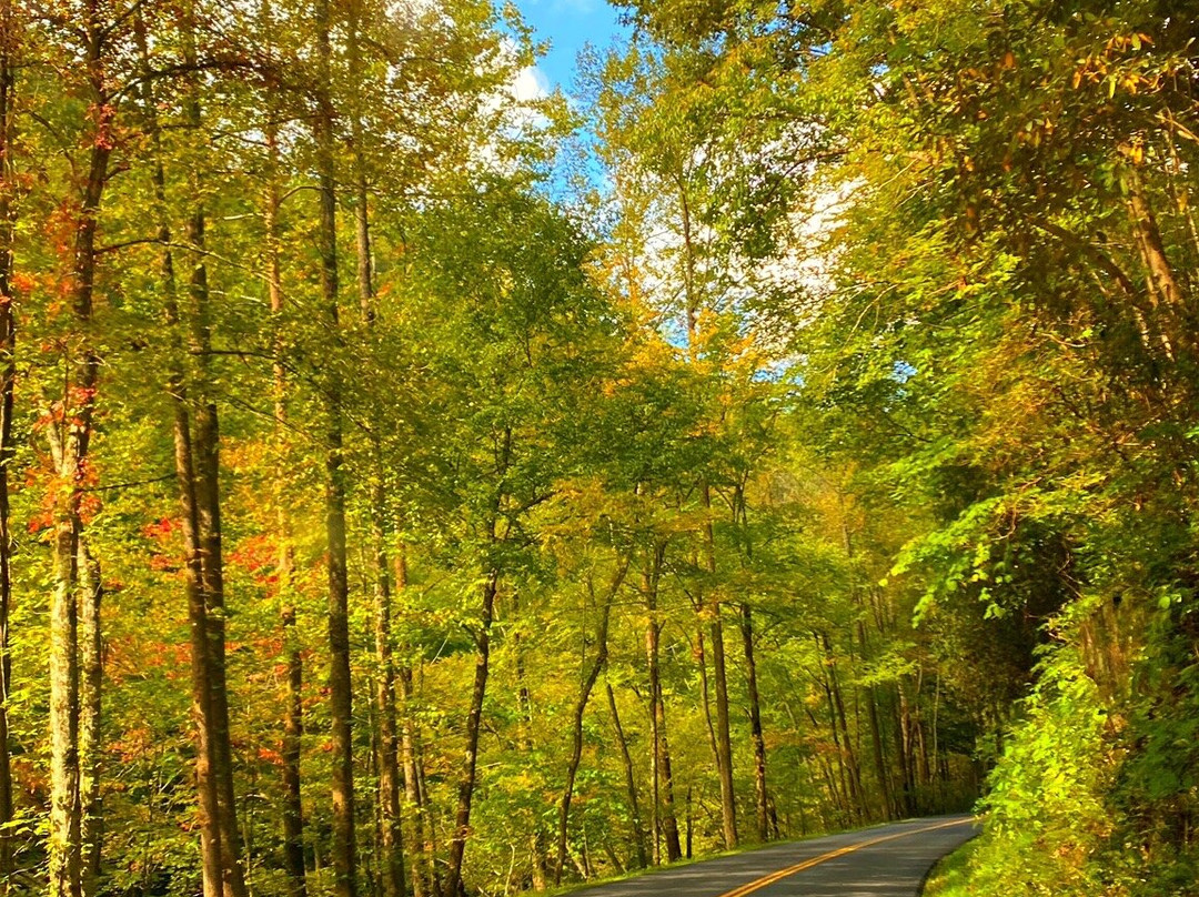 Little River Road-大雾山国家公园必去景点
