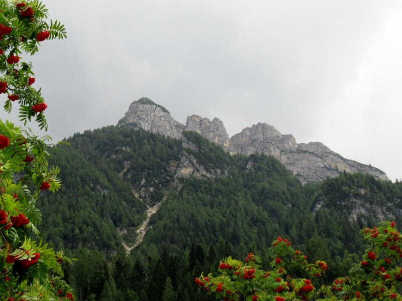 Cima di Col Rean-Alleghe必去景点