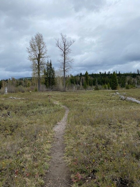 Transboundry Flathead River Interactive Trail-Polebridge必去景点