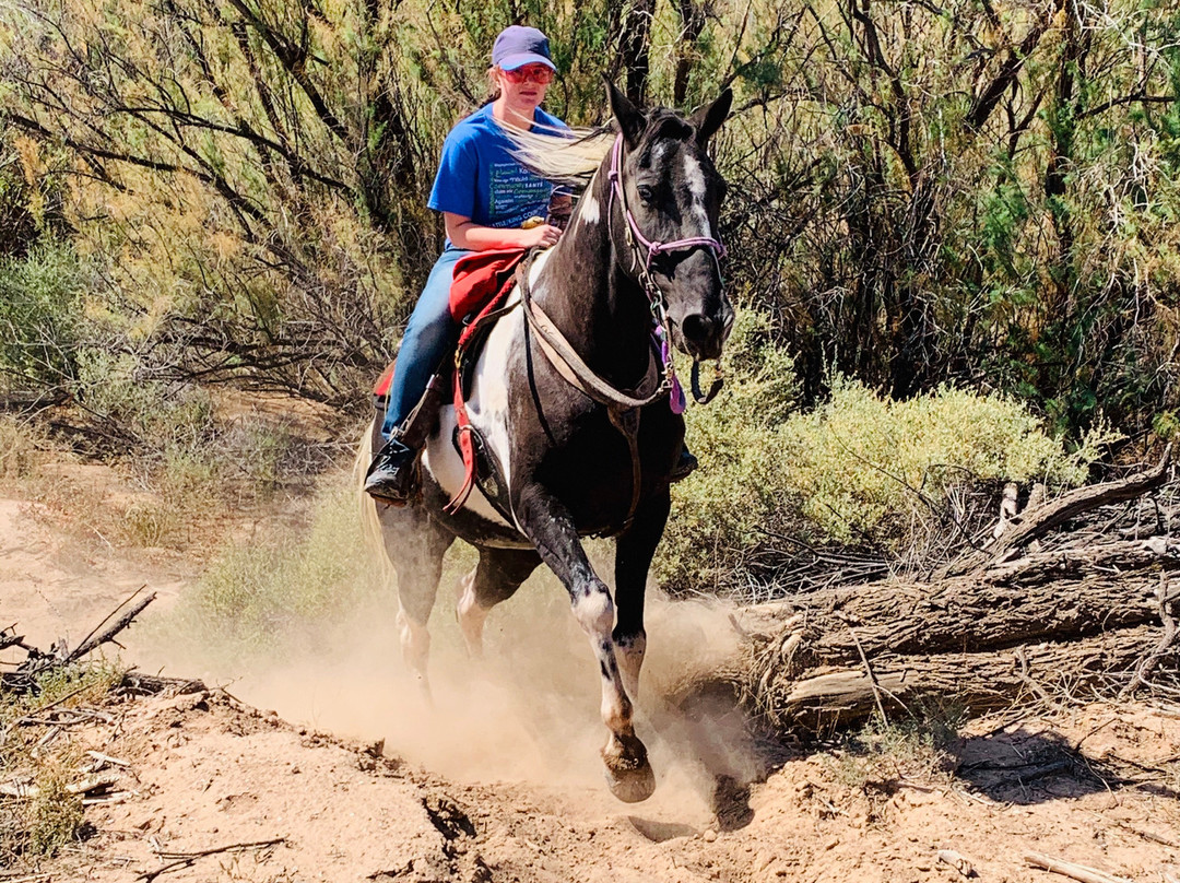 Acacia Riding Adventures-San Acacia必去景点