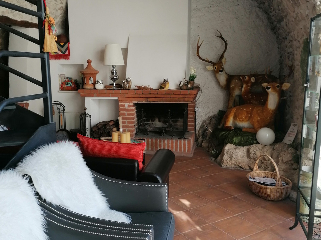 Residenza Storica Le Civette主图