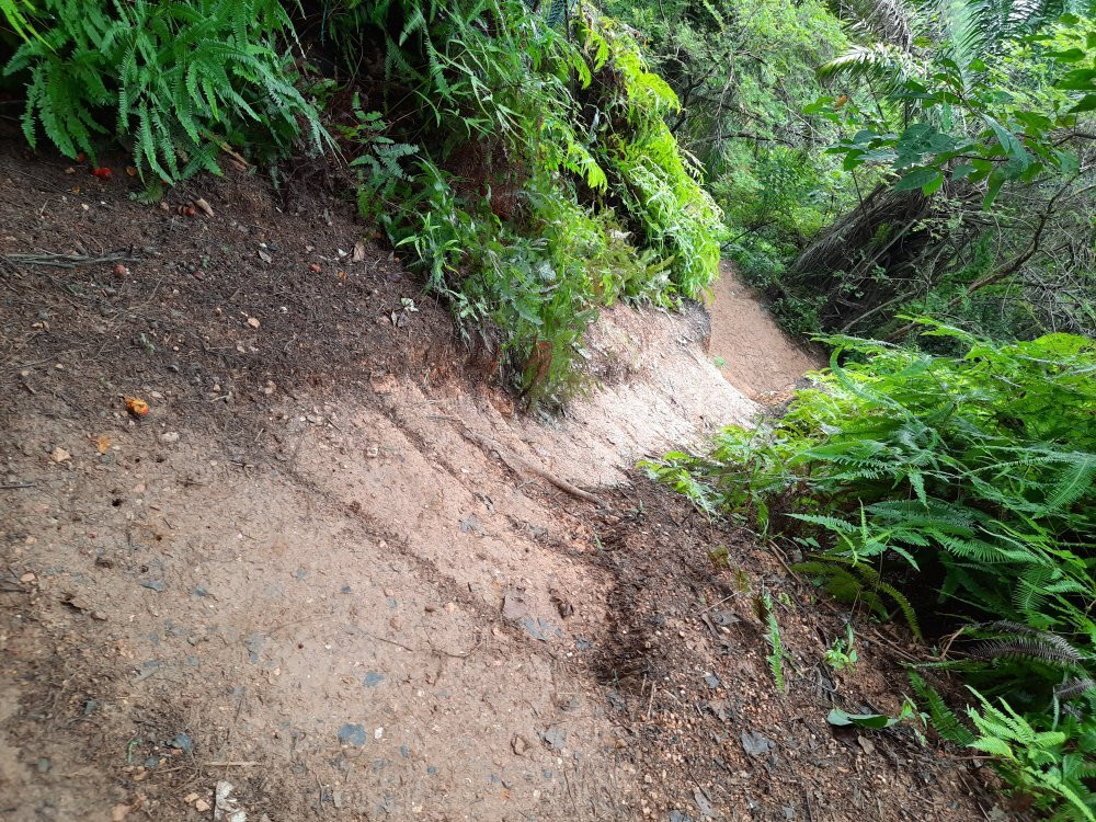 Bukit Melati Nilai景点图片