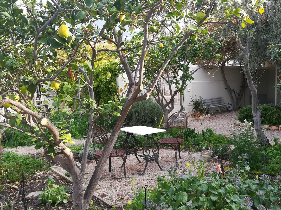 Prince Albert Municipality酒店住宿-Prince Albert Country Stay