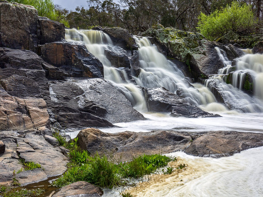 Clifton Grove旅游攻略图片