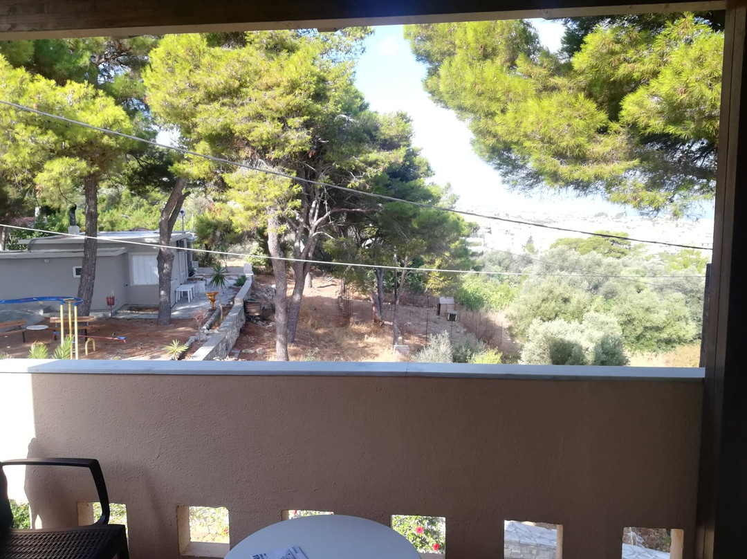 Forest Park Hotel主图