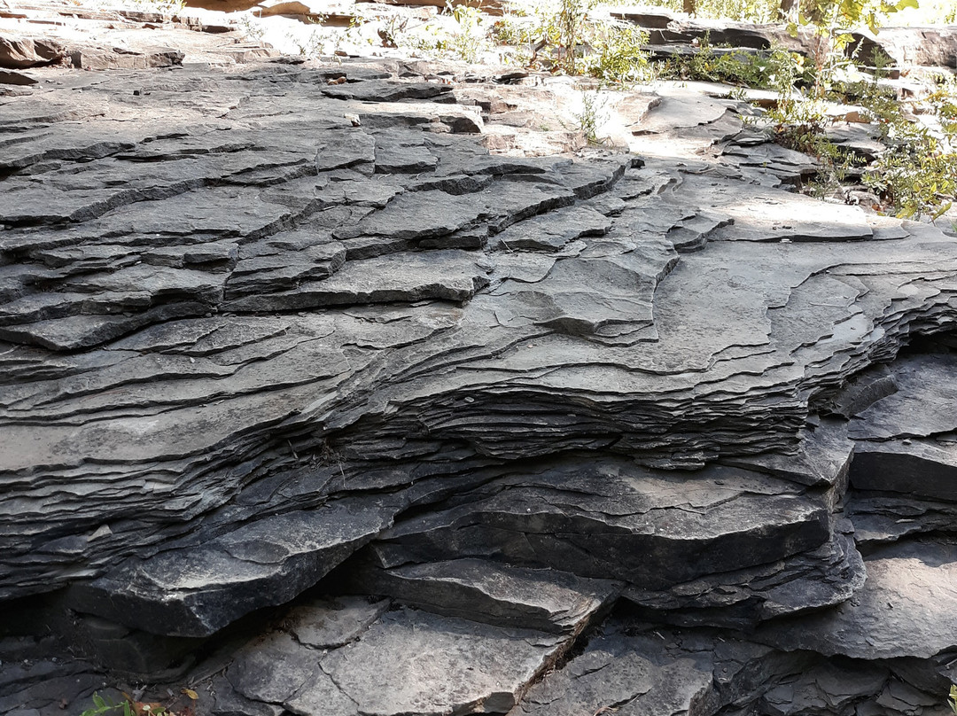 Mulholland Wildflower Preserve-伊萨卡必去景点