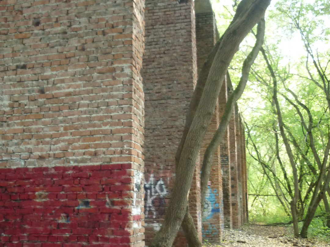 Chernyayevsky Forest-彼尔姆必去景点